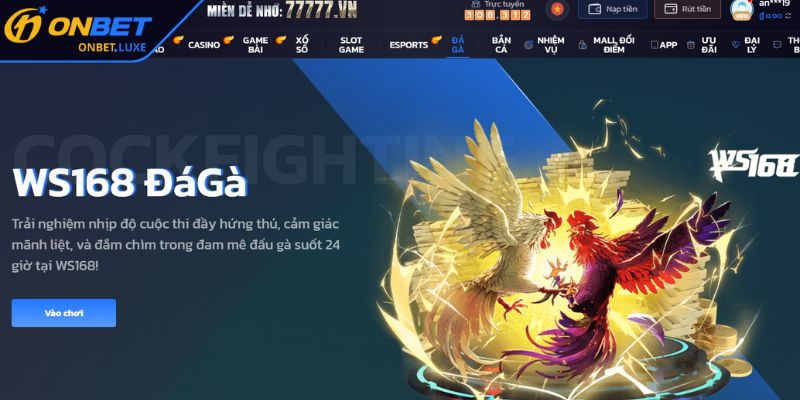 Mẹo cược dễ thắng cho người mới bắt đầu